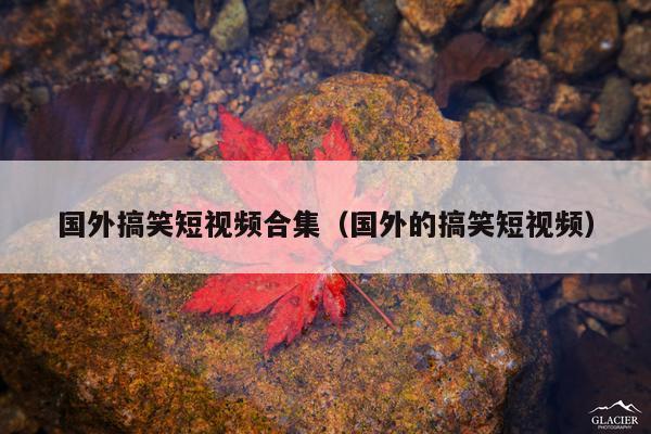 国外搞笑短视频合集(国外的搞笑短视频)