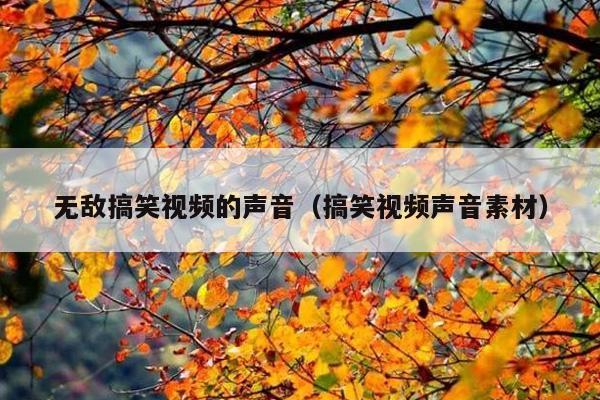 无敌搞笑视频的声音(搞笑视频声音素材)