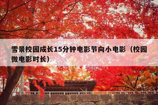 雪景校园成长15分钟电影节向小电影(校园微电影时长)