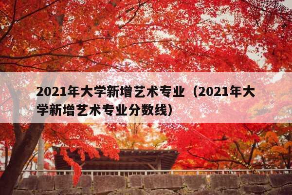 2021年大学新增艺术专业(2021年大学新增艺术专业分数线)