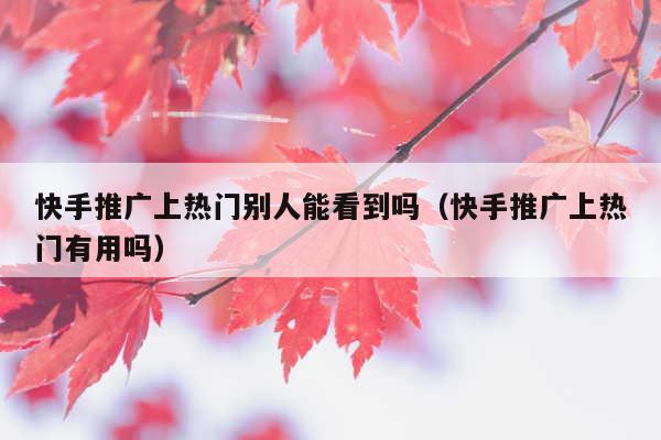 快手推广上热门别人能看到吗(快手推广上热门有用吗)