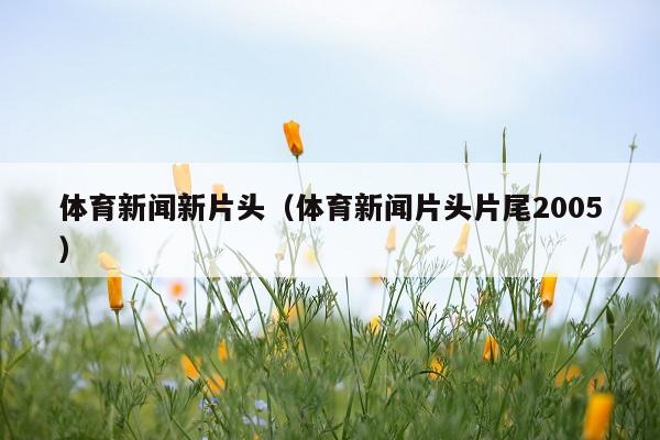 体育新闻新片头(体育新闻片头片尾2005)