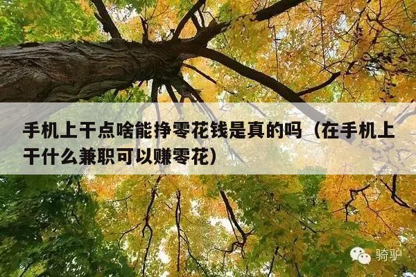 手机上干点啥能挣零花钱是真的吗(在手机上干什么兼职可以赚零花)