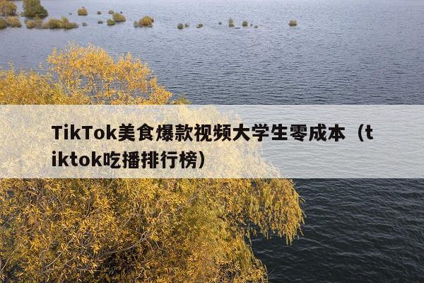 TikTok美食爆款视频大学生零成本(tiktok吃播排行榜)