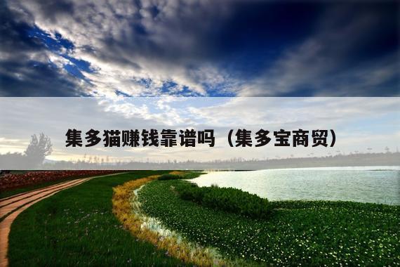 集多猫赚钱靠谱吗(集多宝商贸)