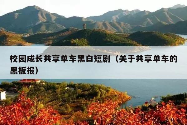 校园成长共享单车黑白短剧(关于共享单车的黑板报)
