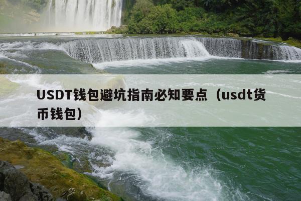 USDT钱包避坑指南必知要点(usdt货币钱包)
