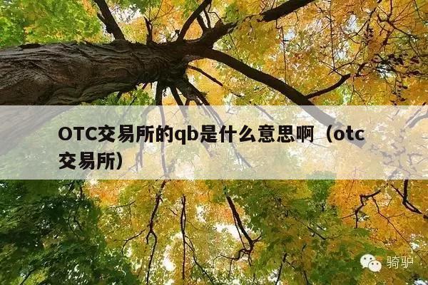 OTC交易所的qb是什么意思啊(otc 交易所)