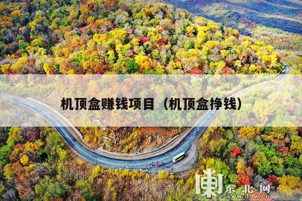 机顶盒赚钱项目(机顶盒挣钱)