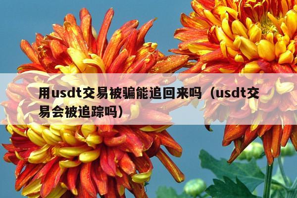 用usdt交易被骗能追回来吗(usdt交易会被追踪吗)