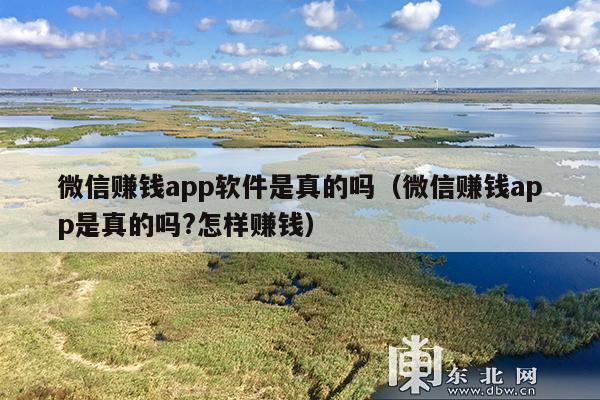 微信赚钱app软件是真的吗(微信赚钱app是真的吗?怎样赚钱)