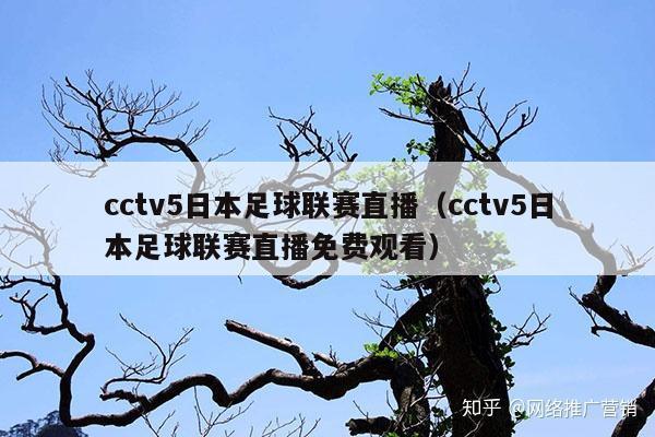 cctv5日本足球联赛直播(cctv5日本足球联赛直播免费观看)
