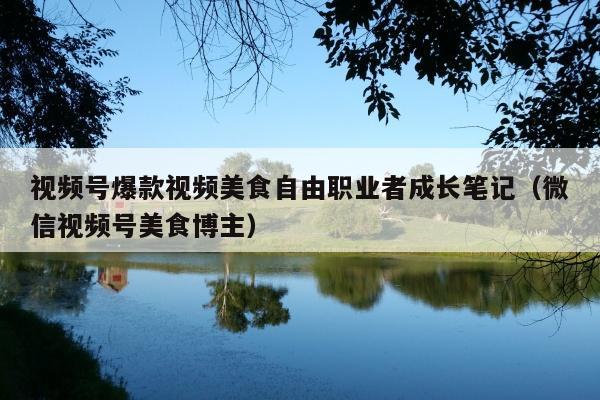 视频号爆款视频美食自由职业者成长笔记(微信视频号美食博主)