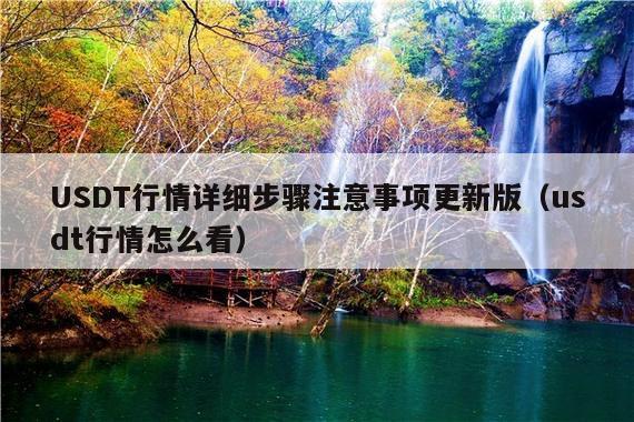 USDT行情详细步骤注意事项更新版(usdt行情怎么看)