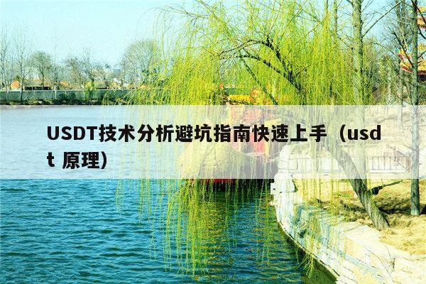 USDT技术分析避坑指南快速上手(usdt 原理)