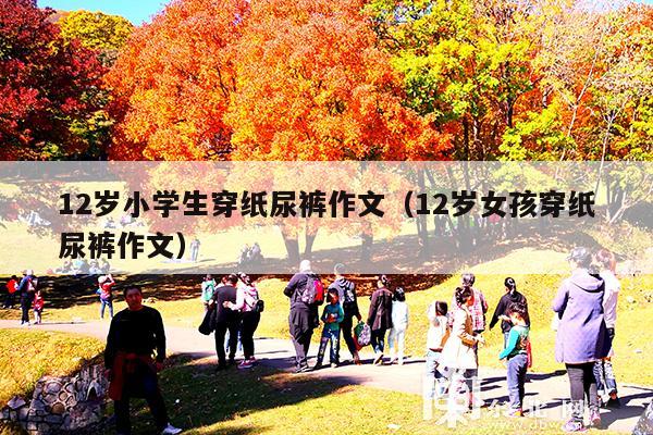 12岁小学生穿纸尿裤作文(12岁女孩穿纸尿裤作文)
