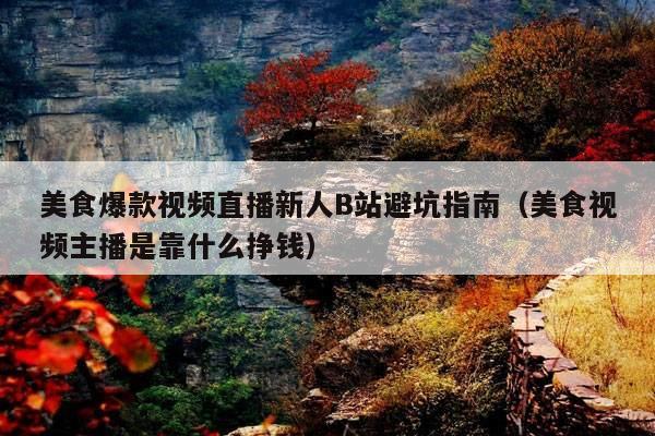 美食爆款视频直播新人B站避坑指南(美食视频主播是靠什么挣钱)