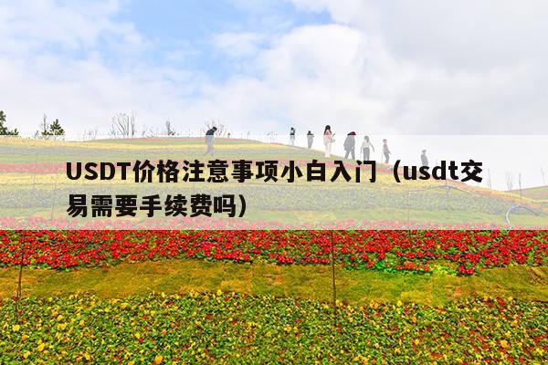 USDT价格注意事项小白入门(usdt交易需要手续费吗)