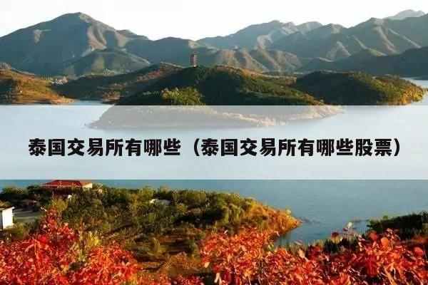 泰国交易所有哪些(泰国交易所有哪些股票)