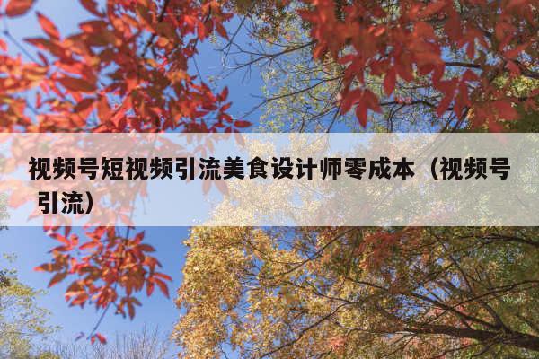 视频号短视频引流美食设计师零成本(视频号 引流)