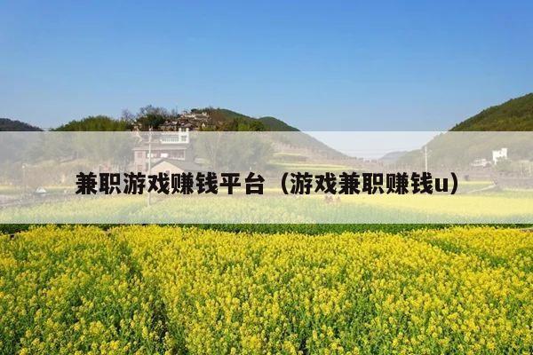 兼职游戏赚钱平台(游戏兼职赚钱u)