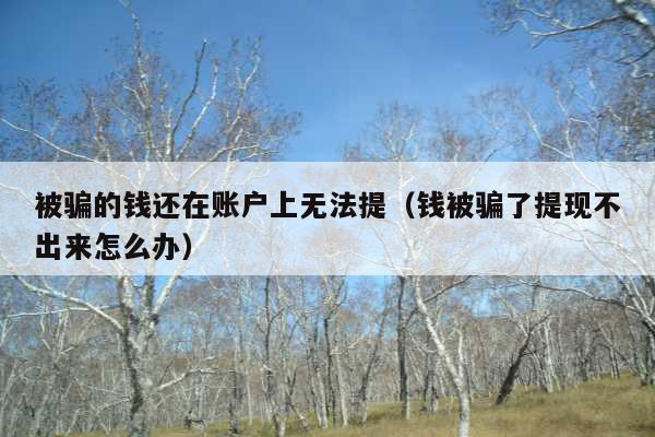 被骗的钱还在账户上无法提(钱被骗了提现不出来怎么办)