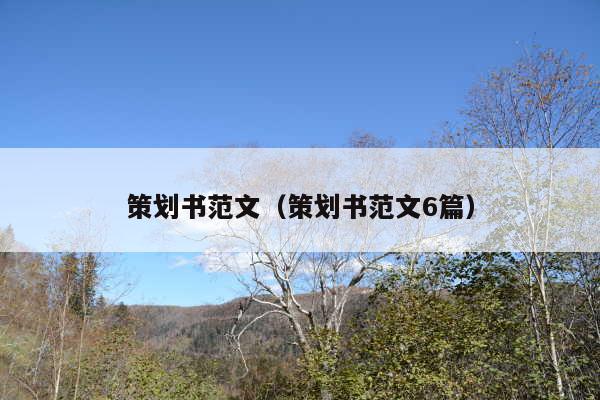 策划书范文(策划书范文6篇)