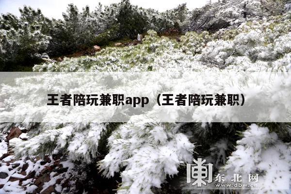 王者陪玩兼职app(王者陪玩兼职)