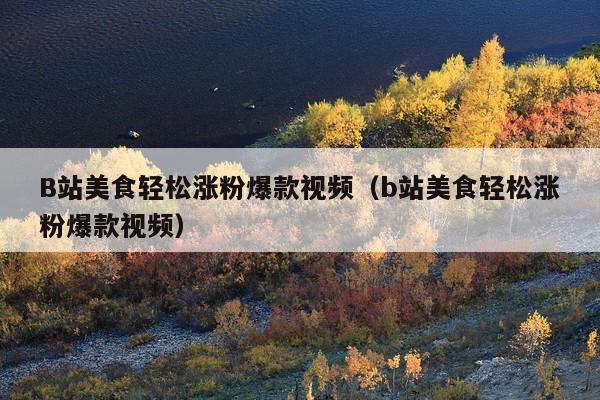 B站美食轻松涨粉爆款视频(b站美食轻松涨粉爆款视频)
