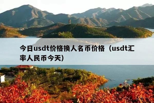 今日usdt价格换人名币价格(usdt汇率人民币今天)
