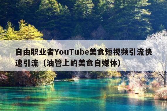 自由职业者YouTube美食短视频引流快速引流(油管上的美食自媒体)
