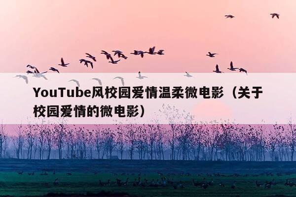 YouTube风校园爱情温柔微电影(关于校园爱情的微电影)