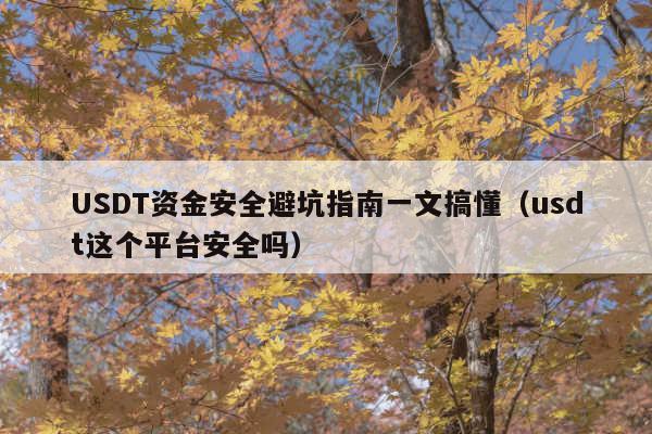 USDT资金安全避坑指南一文搞懂(usdt这个平台安全吗)