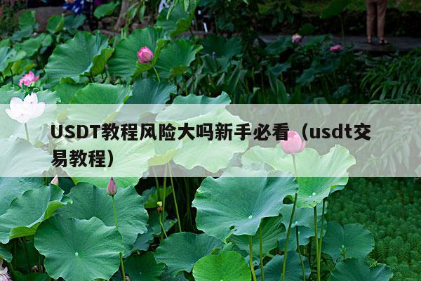 USDT教程风险大吗新手必看(usdt交易教程)