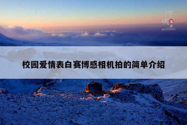 校园爱情表白赛博感相机拍的简单介绍