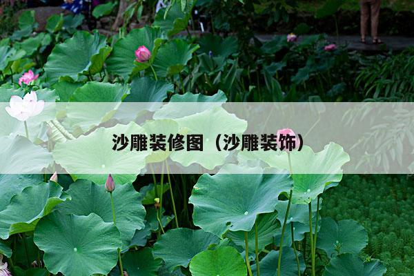沙雕装修图(沙雕装饰)