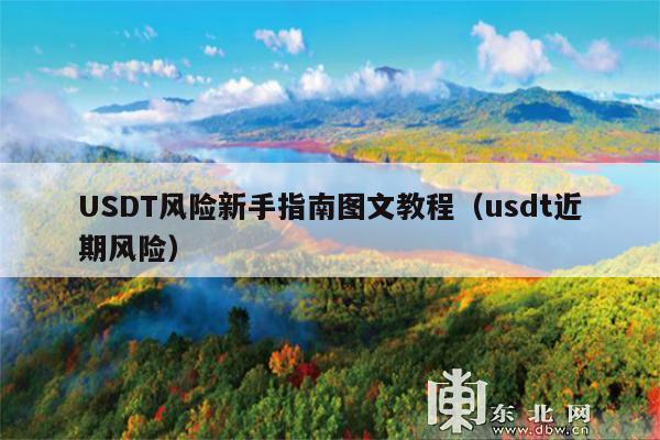 USDT风险新手指南图文教程(usdt近期风险)