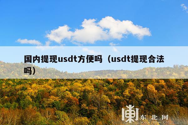 国内提现usdt方便吗(usdt提现合法吗)