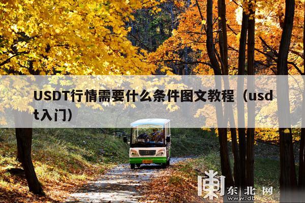 USDT行情需要什么条件图文教程(usdt入门)