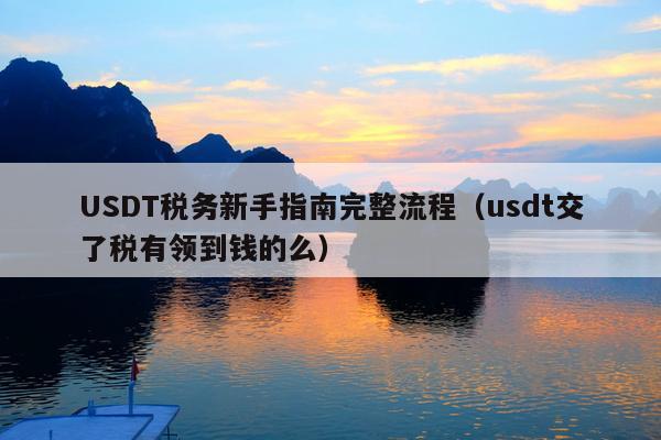 USDT税务新手指南完整流程(usdt交了税有领到钱的么)