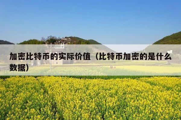 加密比特币的实际价值(比特币加密的是什么数据)