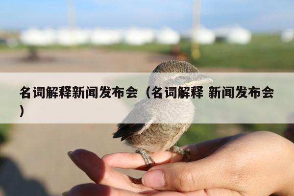 名词解释新闻发布会(名词解释 新闻发布会)