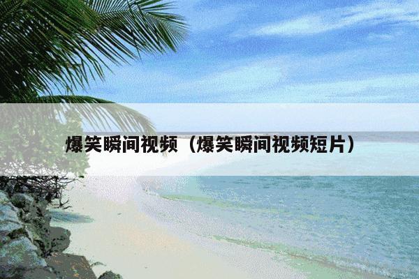 爆笑瞬间视频(爆笑瞬间视频短片)