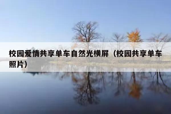 校园爱情共享单车自然光横屏(校园共享单车照片)