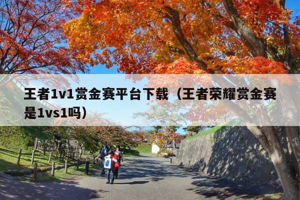 王者1v1赏金赛平台下载(王者荣耀赏金赛是1vs1吗)