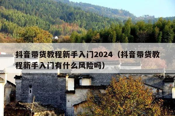 抖音带货教程新手入门2024(抖音带货教程新手入门有什么风险吗)