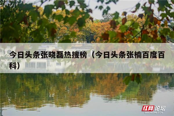 今日头条张晓磊热搜榜(今日头条张楠百度百科)