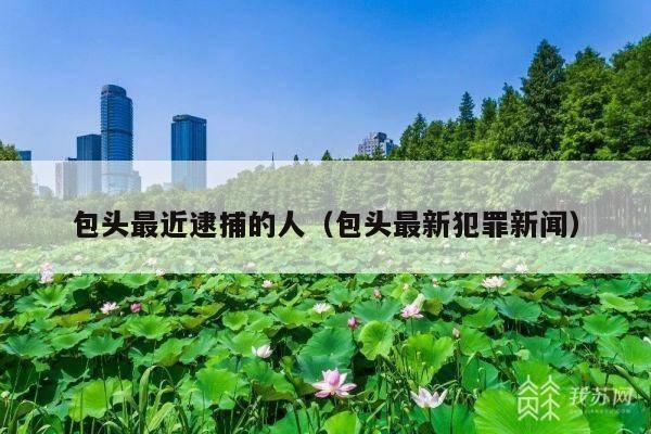 包头最近逮捕的人(包头最新犯罪新闻)