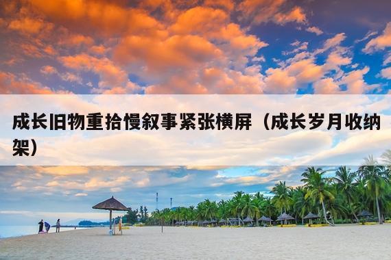 成长旧物重拾慢叙事紧张横屏(成长岁月收纳架)