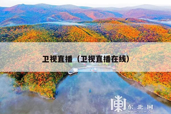 卫视直播(卫视直播在线)